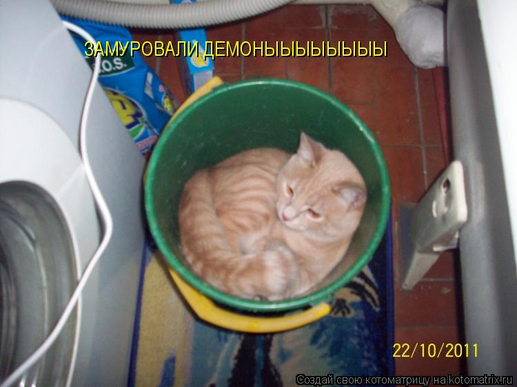 ЗАМУРОВАЛИ ДЕМОНЫЫЫЫЫЫЫЫ... Котоматрица: ЗАМУРОВАЛИ ДЕМОНЫЫЫЫЫЫЫЫ