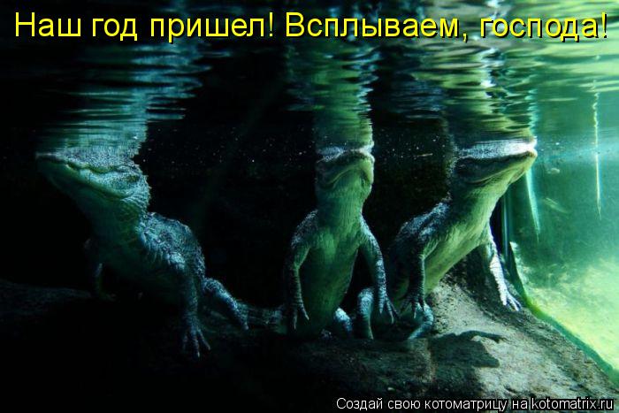 Наш год пришел! Всплываем, господа!... Котоматрица: Наш год пришел! Всплываем, господа!