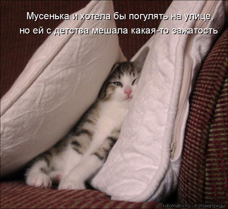Мусенька и хотела бы погулять на улице, но ей с детства мешала какая-то зажатость... Котоматрица: Мусенька и хотела бы погулять на улице, но ей с детства мешала какая-то зажатость