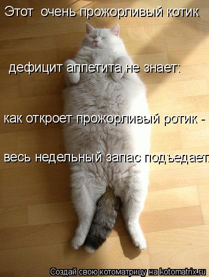 Этот очень прожорливый котик дефицит аппетита не знает: как откроет прожорливый ротик - весь недел... Котоматрица: Этот очень прожорливый котик дефицит аппетита не знает: как откроет прожорливый ротик - весь недельный запас подъедает...