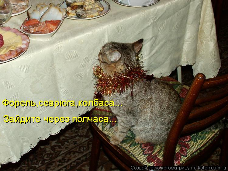 Форель,севрюга,колбаса... Зайдите через полчаса...... Котоматрица: Форель,севрюга,колбаса... Зайдите через полчаса...