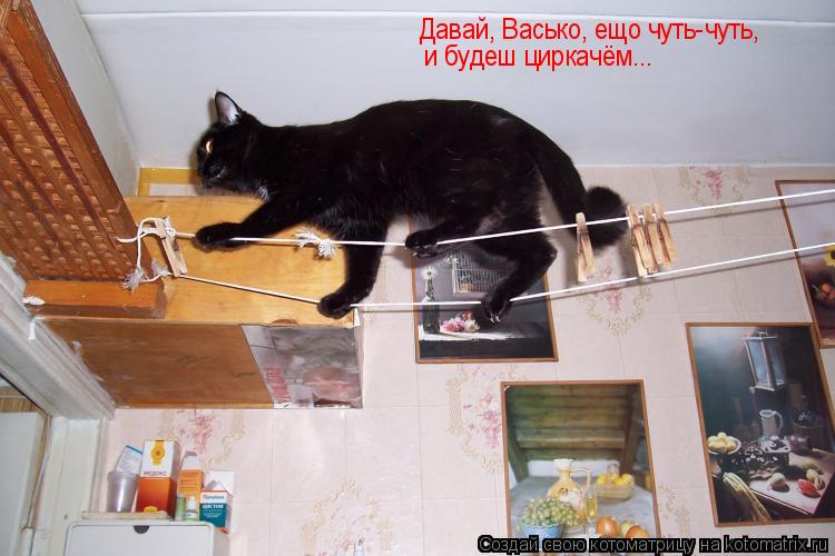Давай, Васько, ещо чуть-чуть, и будеш циркачём...... Котоматрица: Давай, Васько, ещо чуть-чуть, и будеш циркачём...