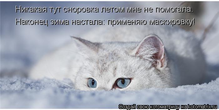 Никакая тут сноровка летом мне не помогала. Наконец зима настала: применяю маскировку!... Котоматрица: Никакая тут сноровка летом мне не помогала. Наконец зима настала: применяю маскировку!