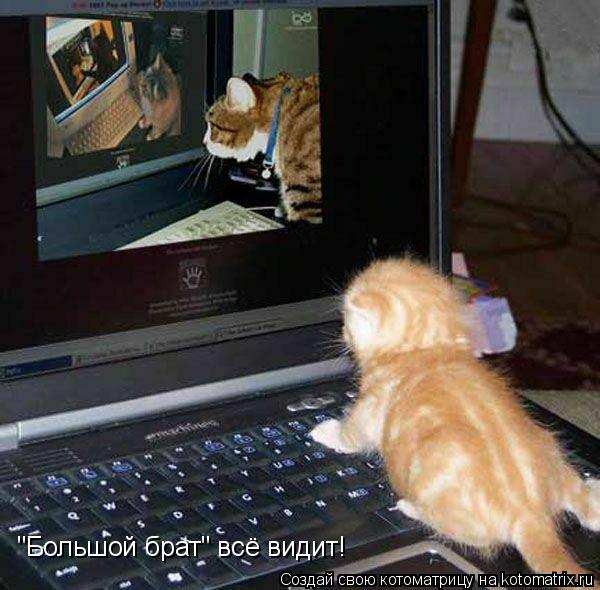 "Большой брат" всё видит!... Котоматрица: "Большой брат" всё видит!