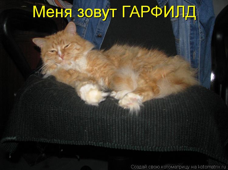 Меня зовут ГАРФИЛД... Котоматрица: Меня зовут ГАРФИЛД