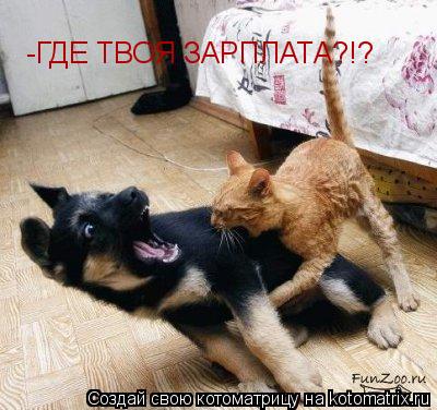-ГДЕ ТВОЯ ЗАРПЛАТА?!?... Котоматрица: -ГДЕ ТВОЯ ЗАРПЛАТА?!?