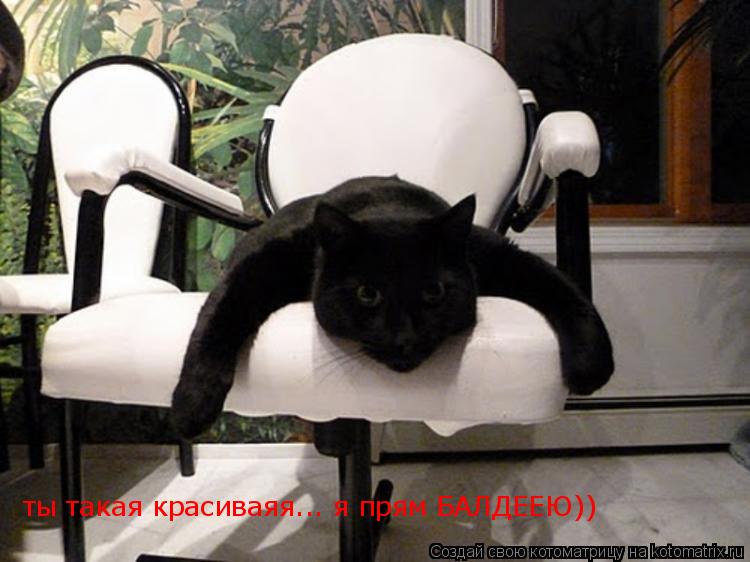 ты такая красиваяя... я прям БАЛДЕЕЮ))... Котоматрица: ты такая красиваяя... я прям БАЛДЕЕЮ))