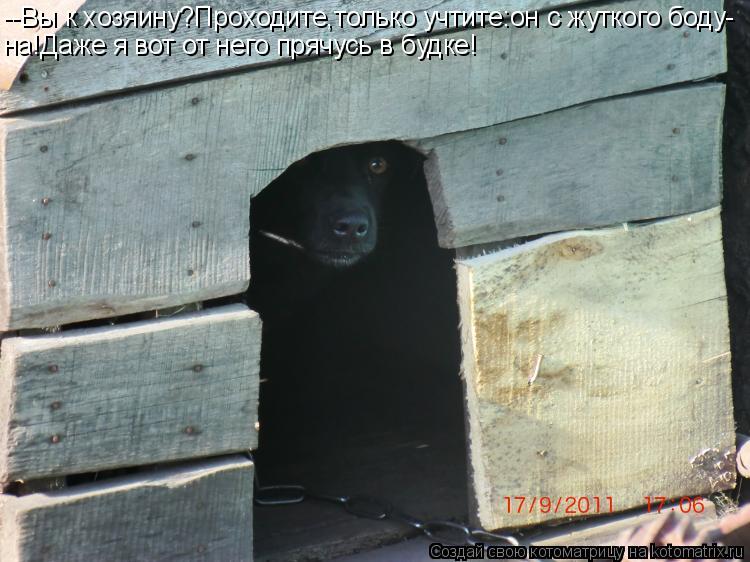 --Вы к хозяину?Проходите,только учтите:он с жуткого боду- на!Даже я вот от него прячусь в будке!... Котоматрица: --Вы к хозяину?Проходите,только учтите:он с жуткого боду- на!Даже я вот от него прячусь в будке!