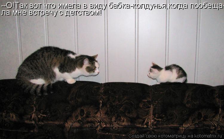 --О!Так вот что имела в виду бабка-колдунья,когда пообеща- ла мне встречу с детством!... Котоматрица: --О!Так вот что имела в виду бабка-колдунья,когда пообеща- ла мне встречу с детством!
