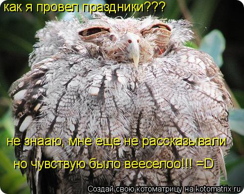 как я провел праздники??? не знааю, мне еще не рассказывали но чувствую было вееселоо!!! =D... Котоматрица: как я провел праздники??? не знааю, мне еще не рассказывали но чувствую было вееселоо!!! =D