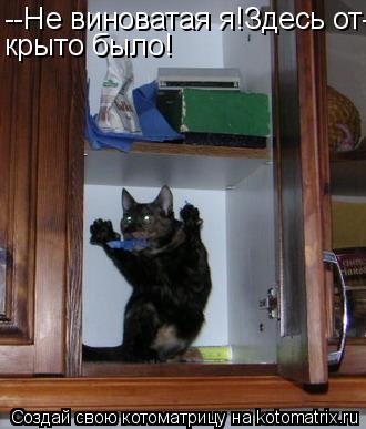 --Не виноватая я!Здесь от- крыто было!... Котоматрица: --Не виноватая я!Здесь от- крыто было!