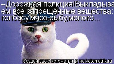 --Дорожная полиция!Выкладыва- ем все запрещённые вещества: колбасу,мясо,рыбу,молоко...... Котоматрица: --Дорожная полиция!Выкладыва- ем все запрещённые вещества: колбасу,мясо,рыбу,молоко...