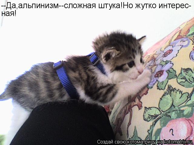 --Да,альпинизм--сложная штука!Но жутко интерес- ная!... Котоматрица: --Да,альпинизм--сложная штука!Но жутко интерес- ная!