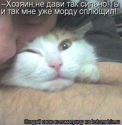 --Хозяин,не дави так сильно!Ты и так мне уже морду сплющил!... Котоматрица: --Хозяин,не дави так сильно!Ты и так мне уже морду сплющил!