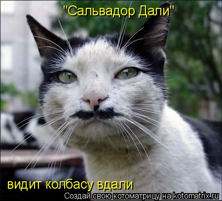 "Сальвадор Дали" видит колбасу вдали... Котоматрица: "Сальвадор Дали" видит колбасу вдали