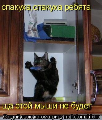 спакуха,спакуха ребята ща этой мыши не будет... Котоматрица: спакуха,спакуха ребята ща этой мыши не будет