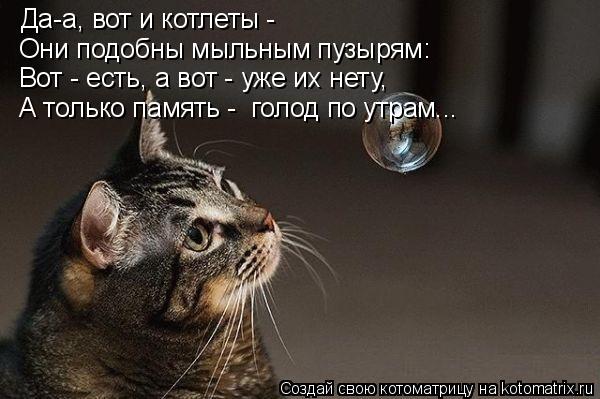 Да-а, вот и котлеты - Они подобны мыльным пузырям: Вот - есть, а вот - уже их нету, А только память ... Котоматрица: Да-а, вот и котлеты - Они подобны мыльным пузырям: Вот - есть, а вот - уже их нету, А только память - голод по утрам...