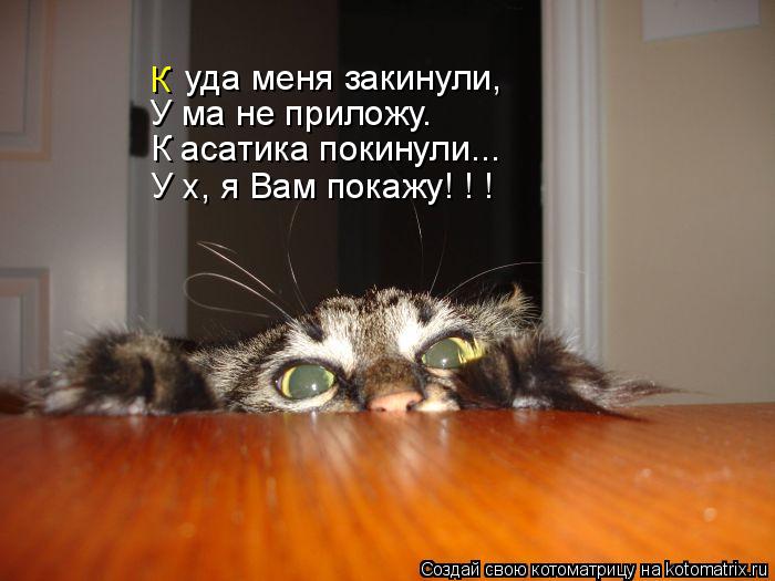 К асатика покинули... У х, я Вам покажу! ! ! У ма не приложу. уда меня закинули, К... Котоматрица: К асатика покинули... У х, я Вам покажу! ! ! У ма не приложу. уда меня закинули, К