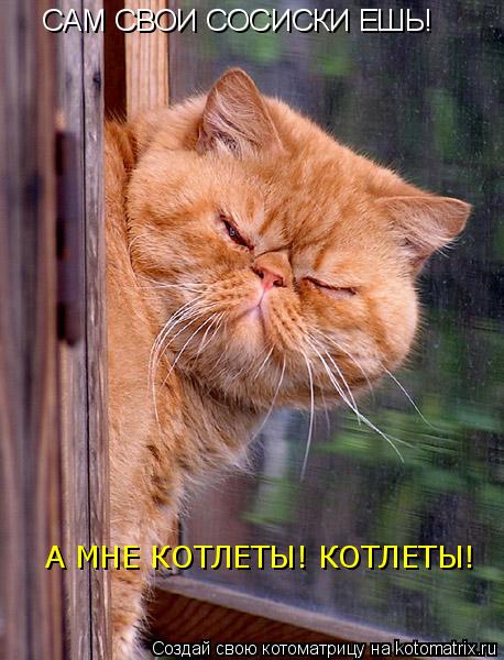 CАМ СВОИ СОСИСКИ ЕШЬ! А МНЕ КОТЛЕТЫ! КОТЛЕТЫ!... Котоматрица: CАМ СВОИ СОСИСКИ ЕШЬ! А МНЕ КОТЛЕТЫ! КОТЛЕТЫ!
