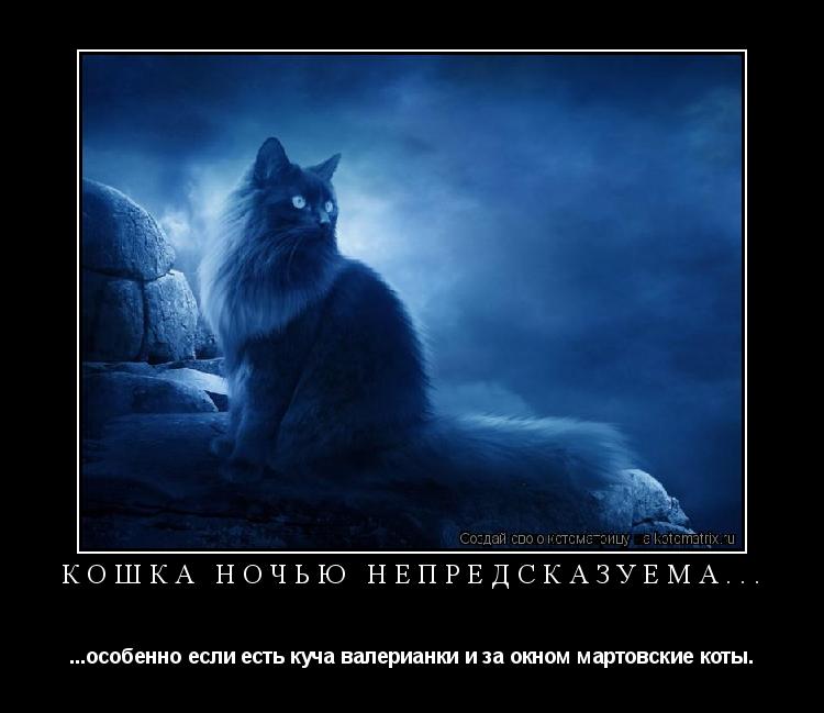 Кошка ночью непредсказуема... ...особенно если есть куча валерианки и за окном мартовские коты.... Котоматрица: Кошка ночью непредсказуема... ...особенно если есть куча валерианки и за окном мартовские коты.