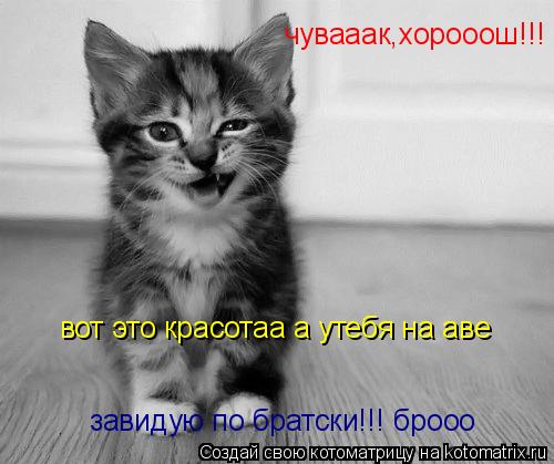 чувааак,хорооош!!! вот это красотаа а утебя на аве завидую по братски!!! брооо... Котоматрица: чувааак,хорооош!!! вот это красотаа а утебя на аве завидую по братски!!! брооо