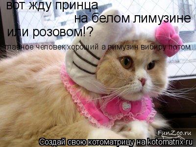 вот жду принца на белом лимузине или розовом!? главное человек хороший а лимузин вибиру потом... Котоматрица: вот жду принца на белом лимузине или розовом!? главное человек хороший а лимузин вибиру потом