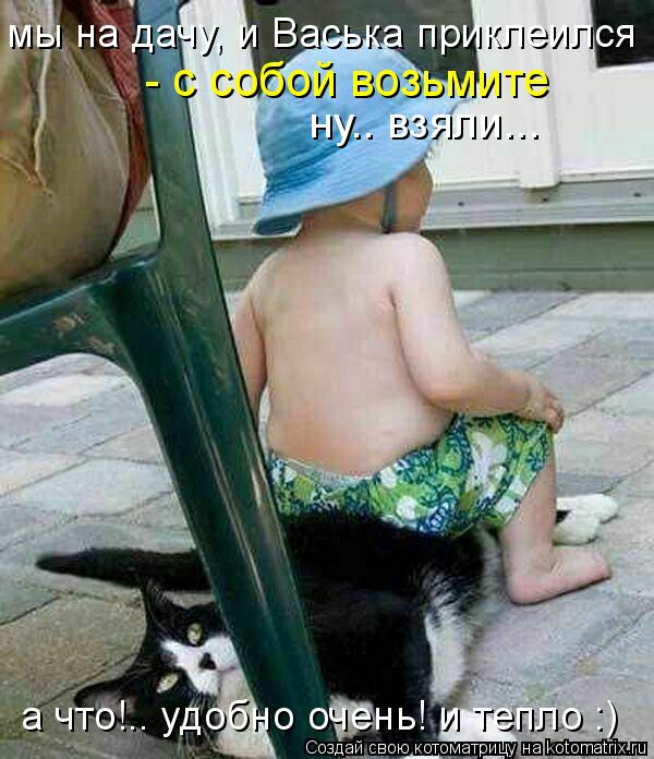 ну.. взяли... а что!.. удобно очень! и тепло :) мы на дачу, и Васька приклеился - с собой возьмите... Котоматрица: ну.. взяли... а что!.. удобно очень! и тепло :) мы на дачу, и Васька приклеился - с собой возьмите