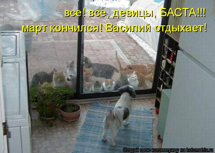 все! все, девицы, БАСТА!!! март кончился! Василий отдыхает!... Котоматрица: все! все, девицы, БАСТА!!! март кончился! Василий отдыхает!