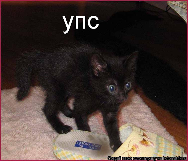 упс... Котоматрица: упс