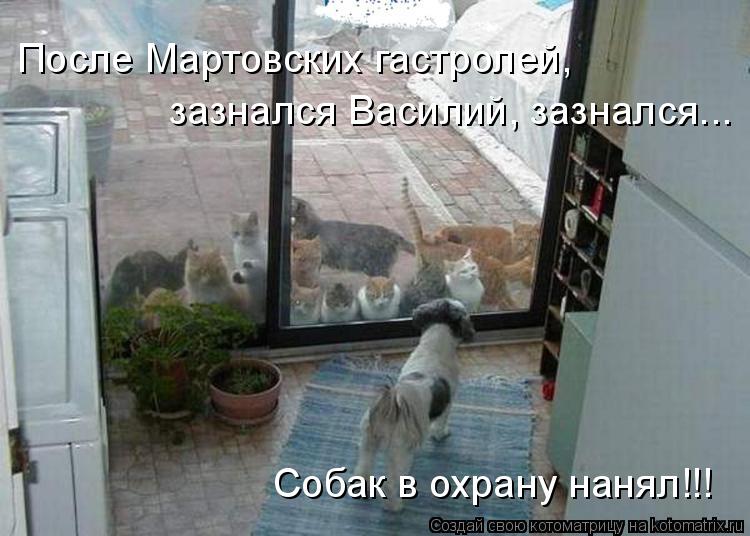 После Мартовских гастролей, зазнался Василий, зазнался... Собак в охрану нанял!!!... Котоматрица: После Мартовских гастролей, зазнался Василий, зазнался... Собак в охрану нанял!!!