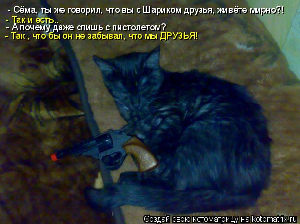 - Сёма, ты же говорил, что вы с Шариком друзья, живёте мирно?! - Так и есть... - А почему даже спишь ... Котоматрица: - Сёма, ты же говорил, что вы с Шариком друзья, живёте мирно?! - Так и есть... - А почему даже спишь с пистолетом? - Так , что бы он не забывал, что м