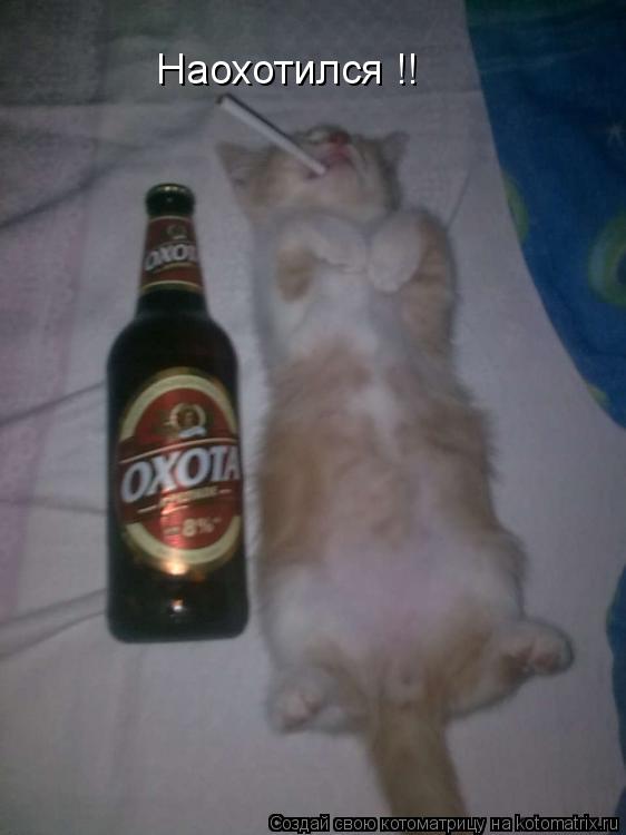 Наохотился !!... Котоматрица: Наохотился !!