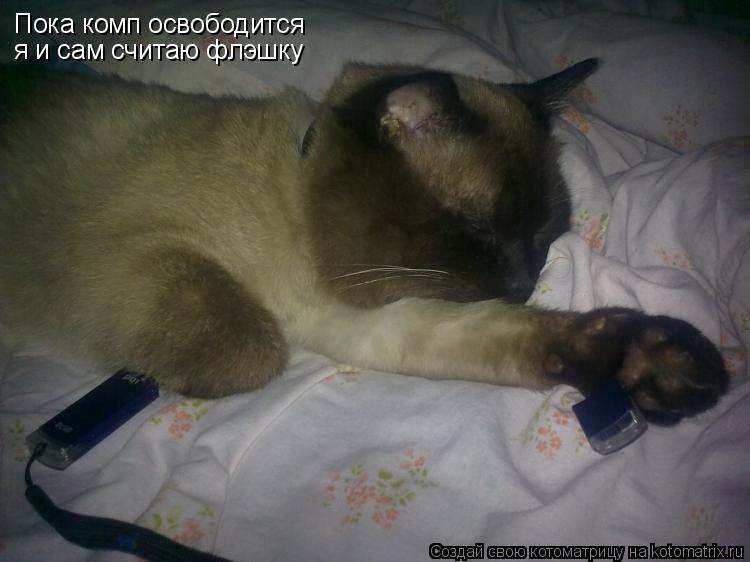Пока комп освободится я и сам считаю флэшку... Котоматрица: Пока комп освободится я и сам считаю флэшку