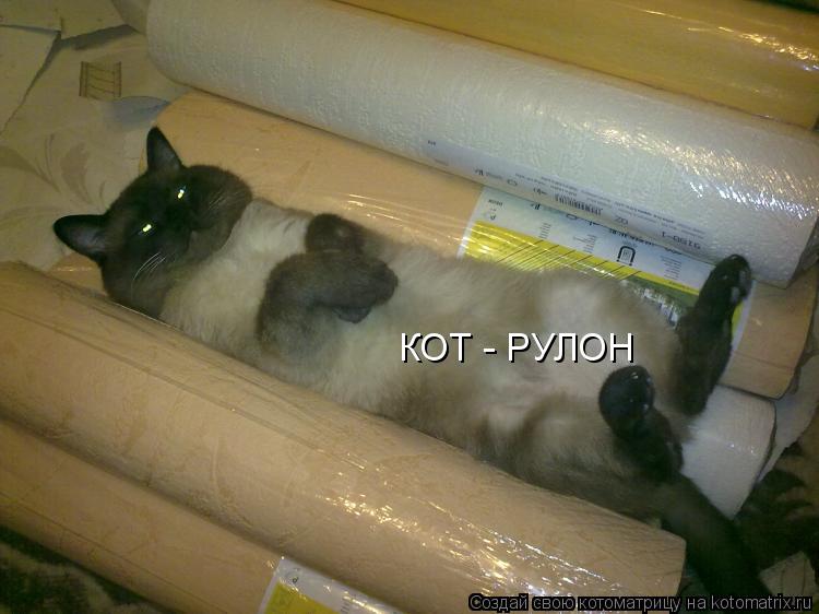 КОТ - РУЛОН... Котоматрица: КОТ - РУЛОН