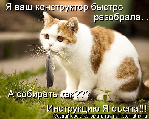 Я ваш конструктор быстро разобрала... А собирать как??? Инструкцию Я съела!!! Инструкцию Я съела!!!... Котоматрица: Я ваш конструктор быстро разобрала... А собирать как??? Инструкцию Я съела!!! Инструкцию Я съела!!!