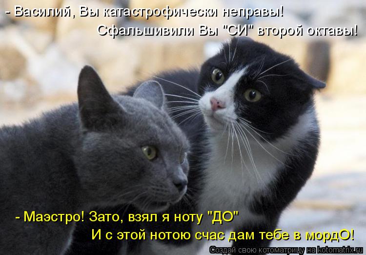 - Василий, Вы катастрофически неправы! Сфальшивили Вы "СИ" второй октавы! - Маэстро! Зато, взял я нот... Котоматрица: - Василий, Вы катастрофически неправы! Сфальшивили Вы "СИ" второй октавы! - Маэстро! Зато, взял я ноту "ДО" И с этой нотою счас дам тебе в мордО!