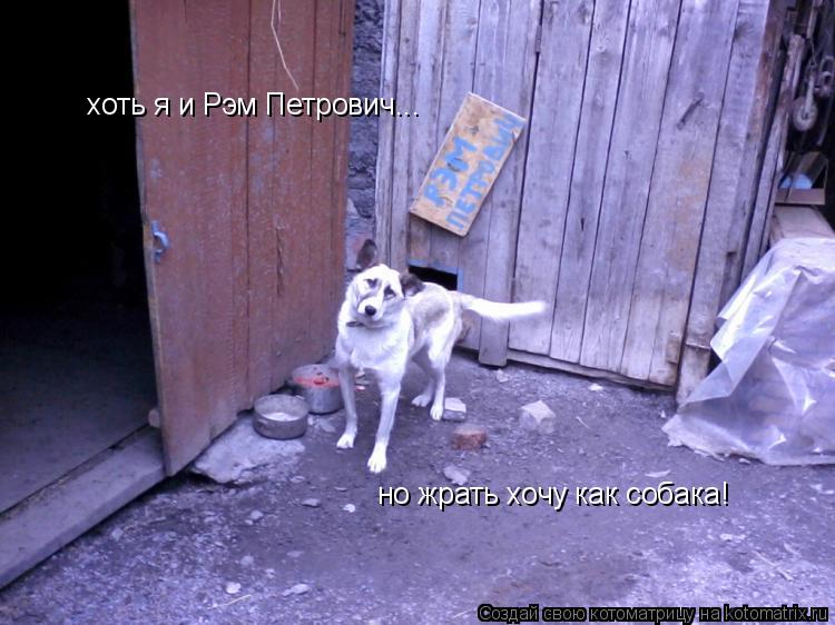 хоть я и Рэм Петрович... но жрать хочу как собака!... Котоматрица: хоть я и Рэм Петрович... но жрать хочу как собака!