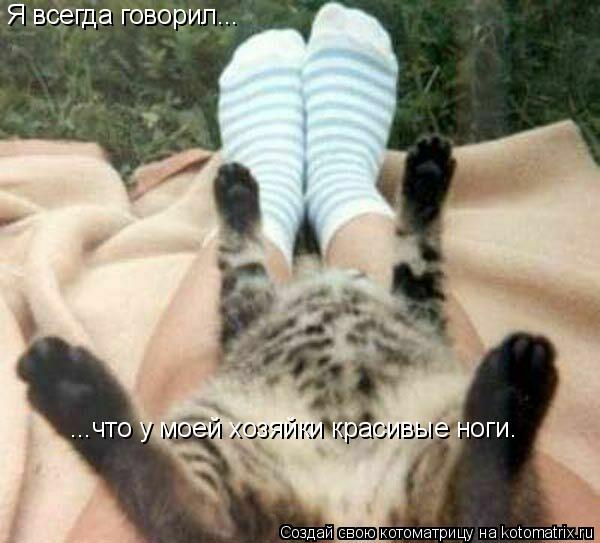 Я всегда говорил... ...что у моей хозяйки красивые ноги.... Котоматрица: Я всегда говорил... ...что у моей хозяйки красивые ноги.