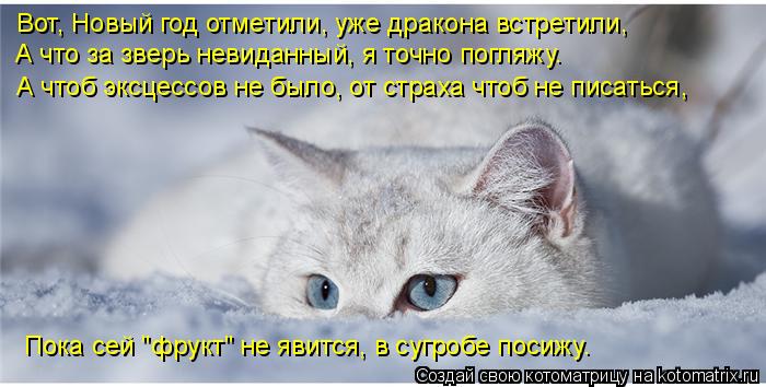 Вот, Новый год отметили, уже дракона встретили, А что за зверь невиданный, я точно погляжу. А чтоб эк... Котоматрица: Вот, Новый год отметили, уже дракона встретили, А что за зверь невиданный, я точно погляжу. А чтоб эксцессов не было, от страха чтоб не писать