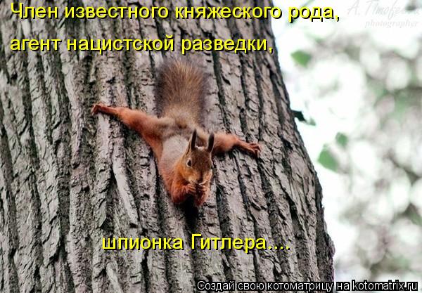 Член известного княжеского рода, агент нацистской разведки, шпионка Гитлера....... Котоматрица: Член известного княжеского рода, агент нацистской разведки, шпионка Гитлера....