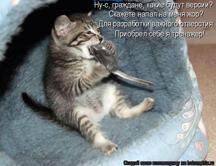 Ну-с, граждане, какие будут версии? Скажете напал на меня жор? Для разработки важного отверстия Приоб... Котоматрица: Ну-с, граждане, какие будут версии? Скажете напал на меня жор? Для разработки важного отверстия Приобрел себе я тренажер!
