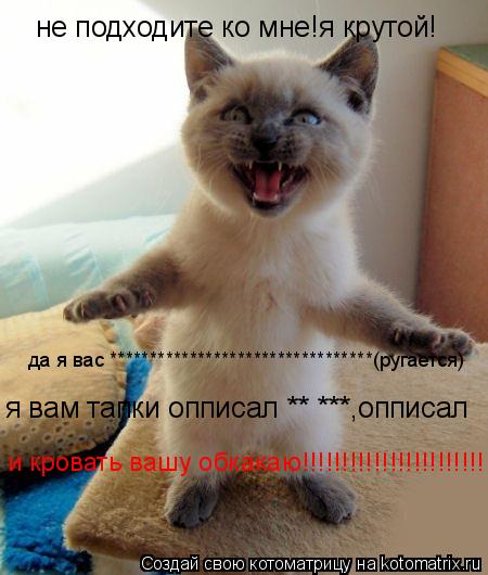не подходите ко мне!я крутой! да я вас *********************************(ругается) я вам тапки опписа... Котоматрица: не подходите ко мне!я крутой! да я вас *********************************(ругается) я вам тапки опписал ** ***,опписал и кровать вашу обкакаю!!!!!!!!!!