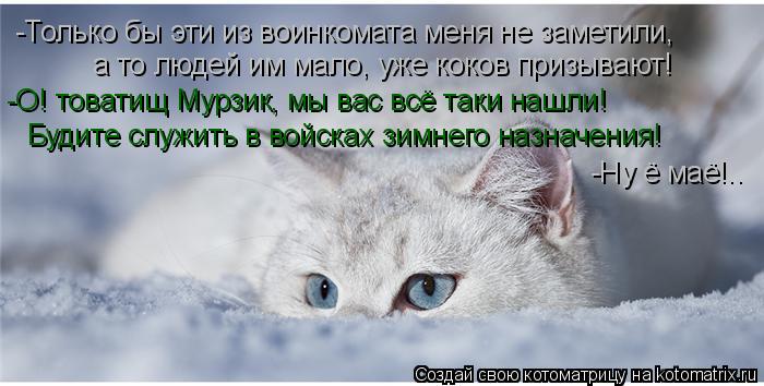 -Только бы эти из воинкомата меня не заметили, а то людей им мало, уже коков призывают! Будите служит... Котоматрица: -Только бы эти из воинкомата меня не заметили, а то людей им мало, уже коков призывают! Будите служить в войсках зимнего назначения! -О! товат
