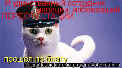 Я удинстванный сотрудник милиции, избежавший ПЕРЕОТЕСТАЦИИ прошол по блату... Котоматрица: Я удинстванный сотрудник милиции, избежавший ПЕРЕОТЕСТАЦИИ прошол по блату