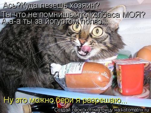 Ась?Куда лезешь хозяин? Ты что не помнишь что колбаса МОЯ? А-а-а ты за йогуртом полез. .. Ну это можн... Котоматрица: Ась?Куда лезешь хозяин? Ты что не помнишь что колбаса МОЯ? А-а-а ты за йогуртом полез. .. Ну это можно,бери я разрешаю...