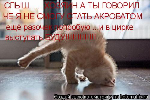 СЛЫШ...... ХОЗЯИН А ТЫ ГОВОРИЛ ЧЕ Я НЕ СМОГУ СТАТЬ АКРОБАТОМ ещё разочек попробую ...и в цирке высту... Котоматрица: СЛЫШ...... ХОЗЯИН А ТЫ ГОВОРИЛ ЧЕ Я НЕ СМОГУ СТАТЬ АКРОБАТОМ ещё разочек попробую ...и в цирке выступать БУДУ!!!!!!!!!!!!!