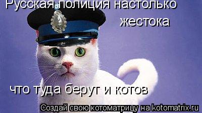 Котоматрица: Русская полиция настолько  жестока что туда берут и котов