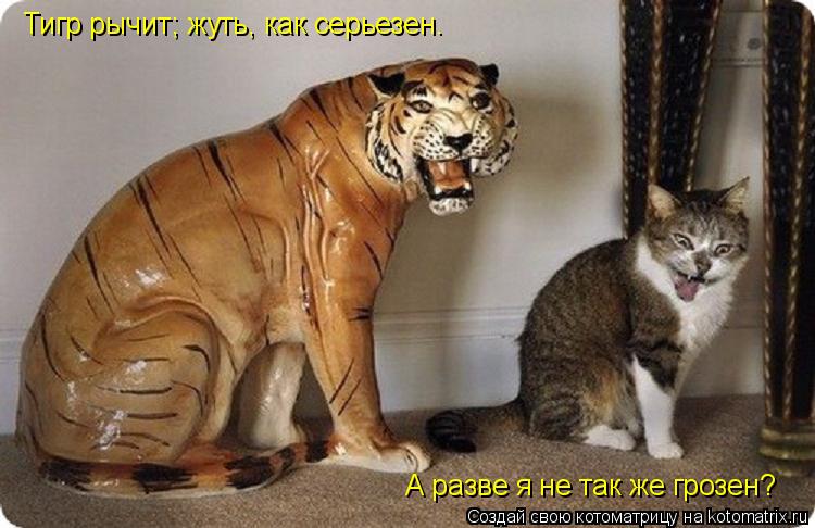 Тигр рычит; жуть, как серьезен. А разве я не так же грозен?... Котоматрица: Тигр рычит; жуть, как серьезен. А разве я не так же грозен?