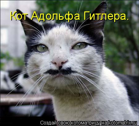 Кот Адольфа Гитлера.... Котоматрица: Кот Адольфа Гитлера.