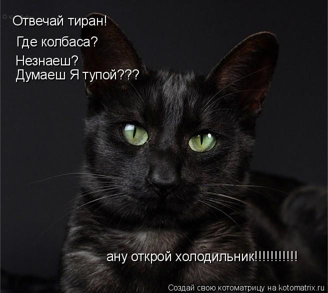 Где колбаса? Отвечай тиран! Незнаеш? Думаеш Я тупой??? ану открой холодильник!!!!!!!!!!!... Котоматрица: Где колбаса? Отвечай тиран! Незнаеш? Думаеш Я тупой??? ану открой холодильник!!!!!!!!!!!